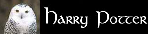 bandeharrypotter